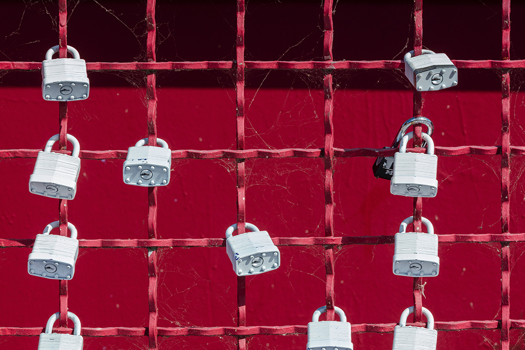 a group of white padlocks on a red iron gate